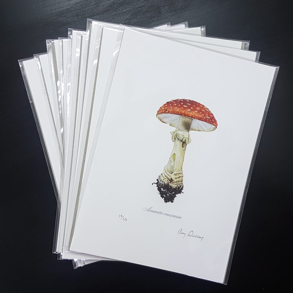 fine art giclée prints in polypropylene sleeves